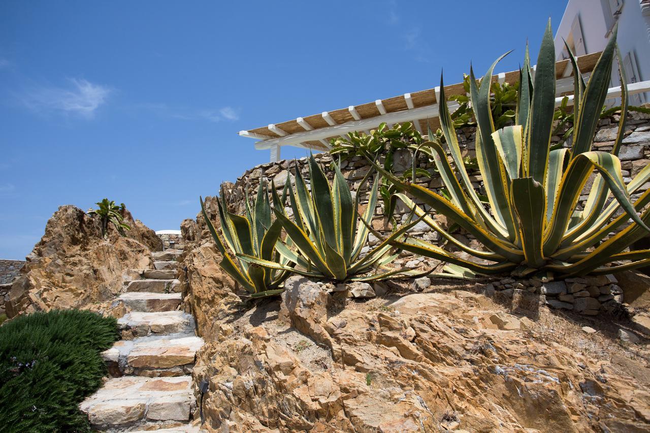 Salty Houses Kalo Livadi Bagian luar foto